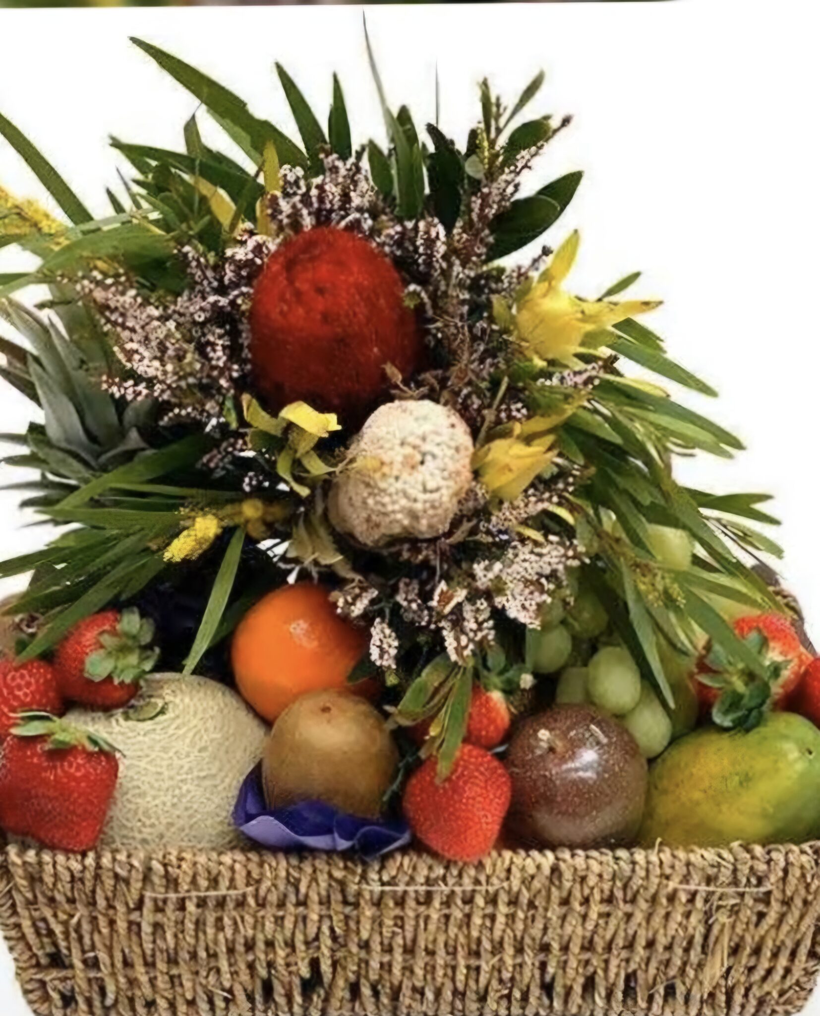 Flora & Fruit