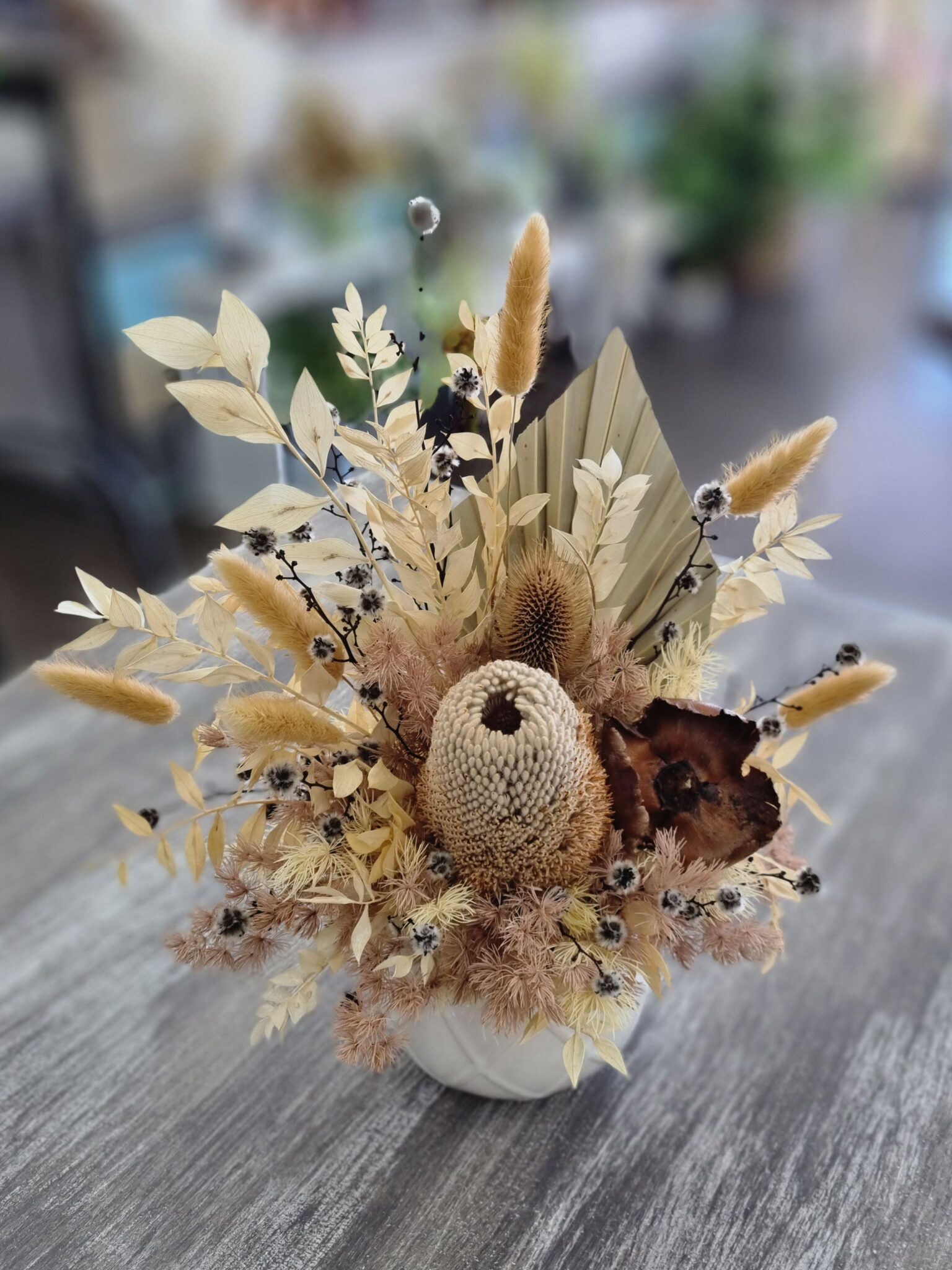 Banksia Bloom